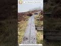 scienceman moment of zen 0449 peaceful ireland wicklow nature beautiful hiking asmr