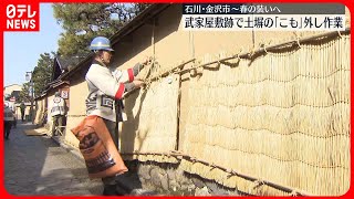 【春の装いへ】武家屋敷跡で土塀の「こも」外し作業　石川・金沢市