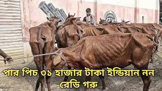 ইন্ডিয়া বাংলাদেশ বর্ডার এলাকার এই বাজারে পাবেন গরু (২০২৪) Bangladesh India Border cow village (২০২৫