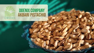 Doenix Akbari Pistachio - High Quality Super-Long Pistachio