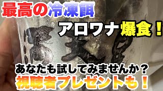 【最高の冷凍餌！】幼魚や若魚の育成に最適！カルシウム含有量はうなぎの９倍！プレゼントもあるよ！　熱帯魚　アクアリウム　大型魚