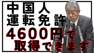 【衝撃：中国人運転免許４６００円で取得できる】石破内閣総理大臣：岩屋外務大臣：立憲民主党 大西議員