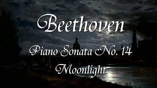 Beethoven - Moonlight Sonata (Rudolf Buchbinder)