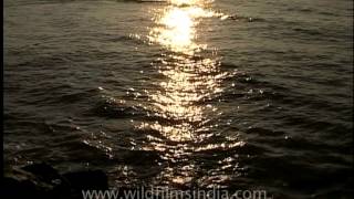 View of the sea from Vattakottai fort