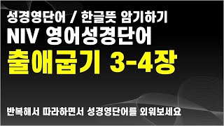 Exodus 3-4, 영어성경단어, NIV 영어성경 출애굽기 3장 4장 영단어, 성경영단어, 10회 반복