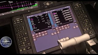P3Dv4 / IVAO | Qualitywings 787 -8 | PAA487 | KJFK ✈ MWCR |  Full Flight
