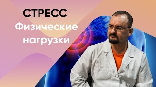 Стресс и движения. Физические нагрузки на организм человека при стрессе