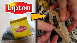 Los SECRETOS De LIPTON | ¿Qué Encontraron En Un Sobre de Té?