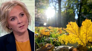 Nytt värmerekord – fortfarande sommar i Sverige | TV4 Nyheterna | TV4 & TV4 Play