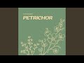 Petrichor