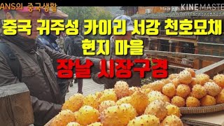 중국 귀주성 카이리 서강  천호묘채  현지마을 장날 시장 구경