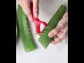 HOMEMADE ALOE GEL- SHELF LIFE 6-7 MONTHS+