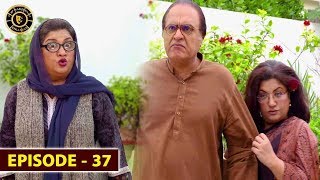 Bulbulay Season 2 | Episode 37 | Ayesha Omer & Nabeel | Top Pakistani Drama