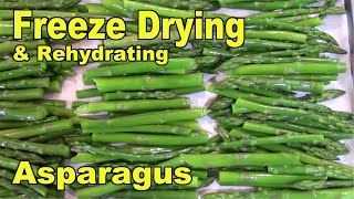 Freeze Drying 8 lbs of Asparagus and Rehydrating a Sample