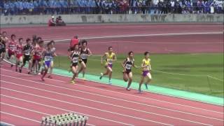 170511 市内総体 共通男子1500m決勝②