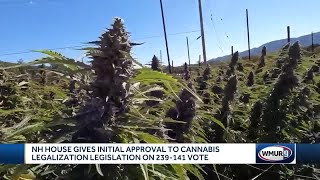 NH House gives initial approval to cannabis legalization legislation on 239-141 vote
