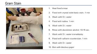 How to lab Module 2 video