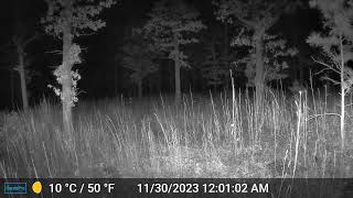 GARDEPRO T5NG TRAIL CAMERA VIDEO FOOTAGE