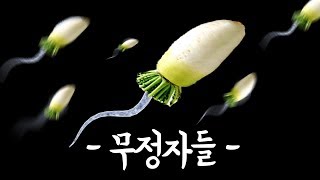 금수토론 두번째 시간 - 저희 사랑할수있나요? (feat. 룩삼, 이초홍, 동수칸, 피유)