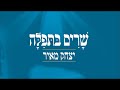 יצחק מאיר וידע כל פעול yitzchak meir veyeda kol pa ul