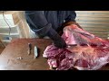 330 maniac professional fur handling beaver skinning u0026 castor removal