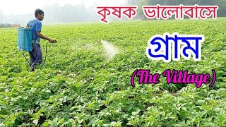 কৃষক এর কাছে গ্রাম এত প্রিয় কেন ? কৃষক গ্রাম ভালোবাসে