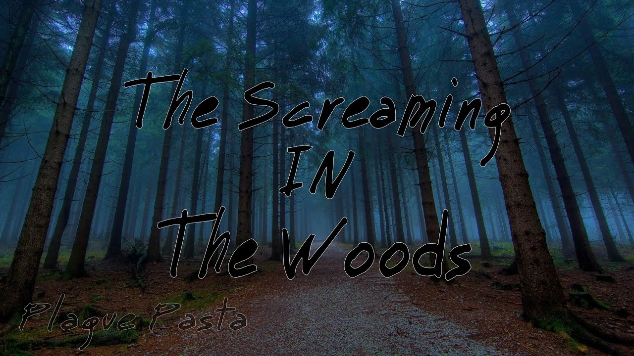 The Screaming In The Woods Creepypasta Youtube