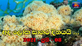 අද ලෝක සාගර දිනයයි