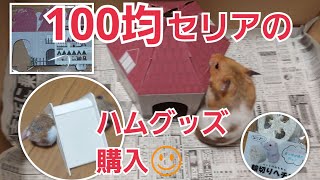 100均行ったついでに…セリアでハムスターグッズを購入した。おきなわ君に試してもらった❗興味なさそうかも。ゴールデンハムスター