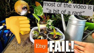 Unboxing Plants From Etsy And Ranting For 15 Minutes About How Bad This Seller is at Selling Plants