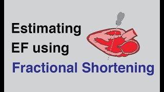 Estimating Ejection Fraction using Fractional Shortening with Cardiac Ultrasound