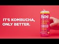 koe kombucha commercial strawberry lemonade kombucha