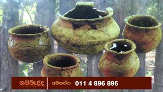 ඉබ්බන්කටුව සුසානයේ වත ගොත