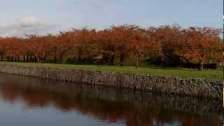 2011.11.12 五稜郭公園・紅葉