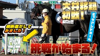 ピックアンドロール号大井移籍初戦！末脚健在で次走に期待大！【馬主Vtuber】