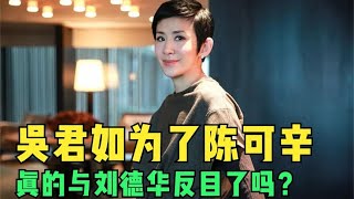 吴君如为了陈可辛无奈与刘德华反目，三人之间究竟有什么恩怨？