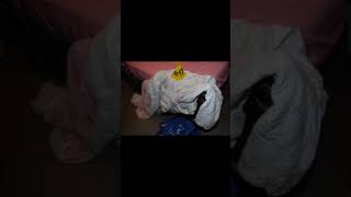 Rose Blanchard crime scene photograph.