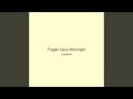 Fragile Glow Moonlight