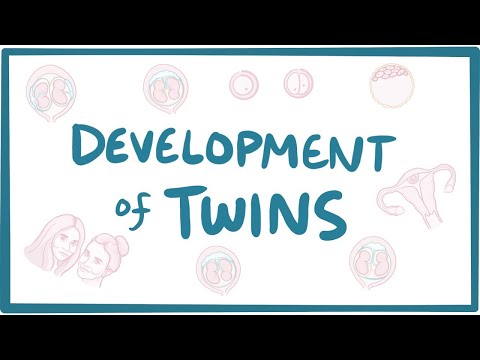 What is the term that refers to a pair of twins where one twin has the trait under consideration and the other twin does not?