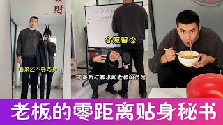 抖音搞笑：老板的零距离贴身秘书，平常都做哪些事#搞笑#情感