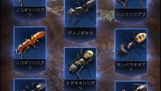 ザ・アンツ（TheAnts）の特級孵化のお得孵化（10連引き）でオール青品質特化アリを引き当てる瞬間…