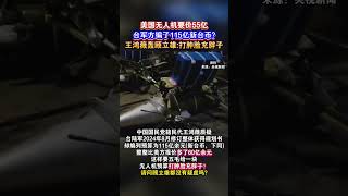 美国无人机要价55亿，台军方编了115亿新台币？王鸿薇轰顾立雄：打肿脸充胖子#海峡新干线