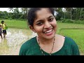 ഇവിടെ ഇനി പൊന്ന് വിളയും farming story village food kasaragod kerala bites n cruise