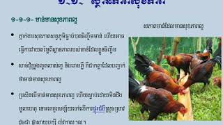 ជំងឺមាន់: រោគវិនិច្ឆ័យ និងការព្យាបាលមាន់