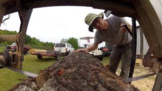 Milling White Pine on the Woodmizer LT20 band sawmill