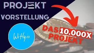 10.000x bei Launch???? Vorstellung Projekt Witly