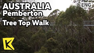 【K】Australia Travel-Pemberton[호주 여행-펨버튼]거인의 계곡 산책로, 트리 탑 워크/Tree Top Walk/Valley of Giant/Western