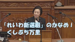 くしぶち万里の国会質問！衆議院本会議 （2024年12月12日）