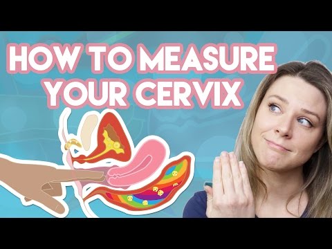 How to Measure Your Cervix How to Measure Your Cervix