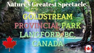 [4K] Goldstream Provincial Park | Nature's Greatest spectacles | Langford BC